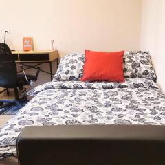 Little Big Red - Central Modern Studio