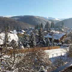 Apartament La poteca ursului