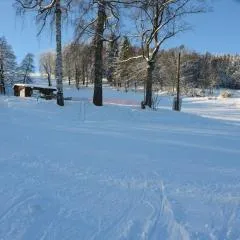 small holiday home at the edge of the forest