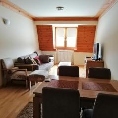 Apartman 205- Aparthotel Vučko Jahorina private host 50m2
