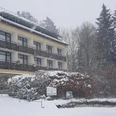 Panorama Hotel Pension Frohnau