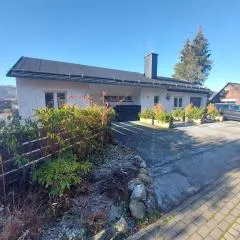 Panoramablick Willingen Schwalefeld