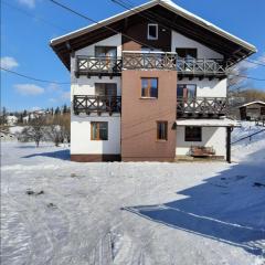 Guest House Stari Druzy