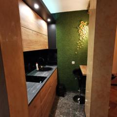 Centar Stan na dan sa besplatnim parkingom