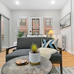 Chic & Updated Studio Apt in East Lakeview - Barry S1