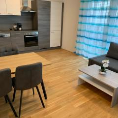 Modern airconditioned city apartment close to VIC