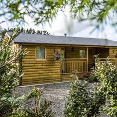 Fern Lodge - 2 Bedroom Log Cabin - Saint Florence - Tenby
