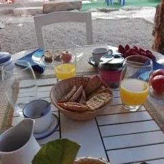 ca sa tia