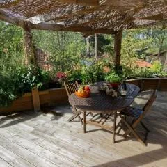 Villa sous les pins de Moliets