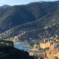 Acqua Marina