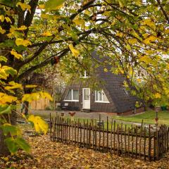 Holiday home in Bestwig with private garden