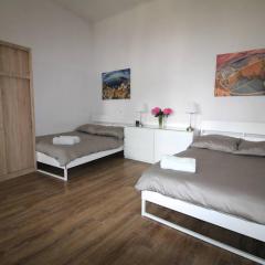 Simplicity Apartment - Lublin City Center