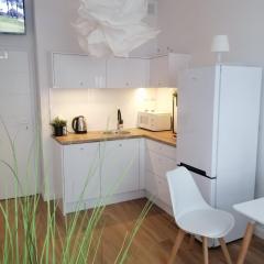 Apartament Elbląg GoodEnergy - Stare Miasto, Oldtown, Altstadt