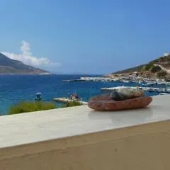 Costareli