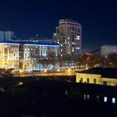 Апартаменти Династія, центр, з видом на Харків