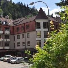 Apartments in Jachymov - Erzgebirge 33569