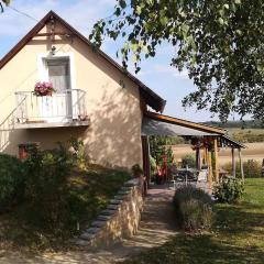 Holiday home in Balatonendred 33661