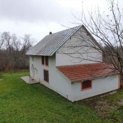 Holiday home in Trnovac 17132