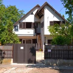 Apartment in Balatonvilagos 35847