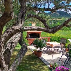 Apartment in Rab - Insel Rab 17563