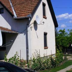 Holiday home Abadszalok/Theiss-See 20563
