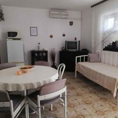 Apartment in Petrcane - Zadar Riviera 7866