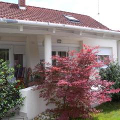 Apartments in Balatonfenyves - Balaton 18466