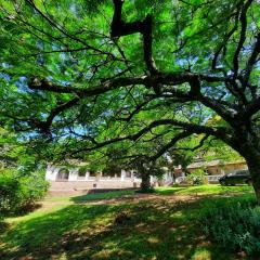 Mein Land Paraguay - Bed & Breakfast