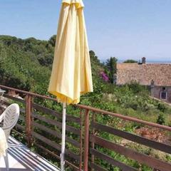 Apartment in Veli Losinj 36509