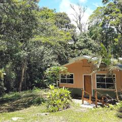 Forest Garden House