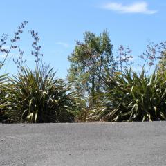 2 Views at Tasman