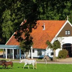 Chalet in Overijssel with Spacious Terrace