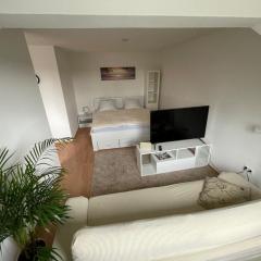 1,5 Zimmer Apartment, 38,5 qm, Multimedia TV, Uni, HBF
