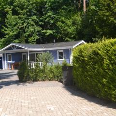 Lovely chalet with covered terrace in a holiday park on the edge of the forest