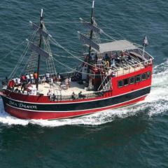 Sunbird 908E 'High Tides'