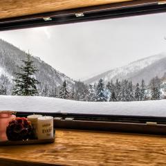 Apartments Srdiecko - JASNA South, FOREST View, SAUNA in One Apt FIREPLACE in Both