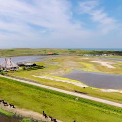 De Jutter, in natuurgebied en vlakbij het Strand