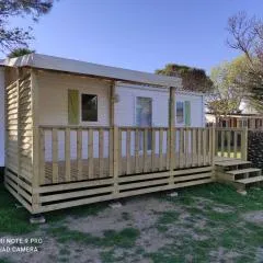 Mobil home 5-6 personnes - climatisé