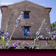 L'Alboreto Salvatico Homestay