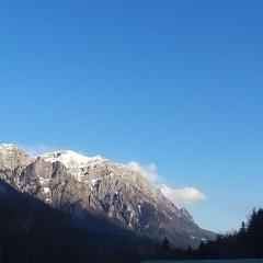 Apartament GreenStar