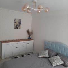Comfortable apartment Zamostyanska 34а