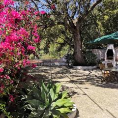 Beautiful Home with Sea View
