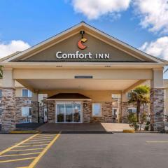 Comfort Inn Roseburg