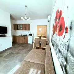 Regina Apartman Hegykő