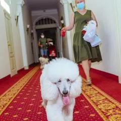 Europa Royale Druskininkai