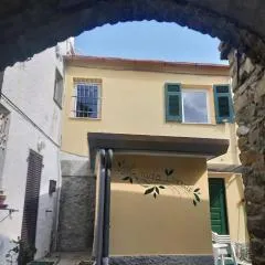 IL NIDO VERDE