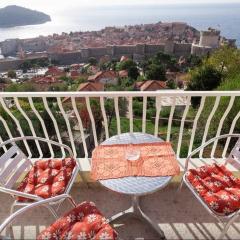 Apartment with amazing view Dubrovnik