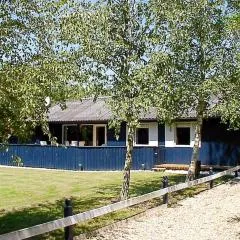 6 person holiday home in Hemmet-By Traum