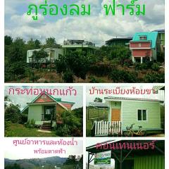 ภูร่องลม ฟาร์ม