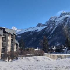 studio plein sud vue Mont Blanc CHAMONIX